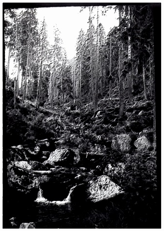 Image description